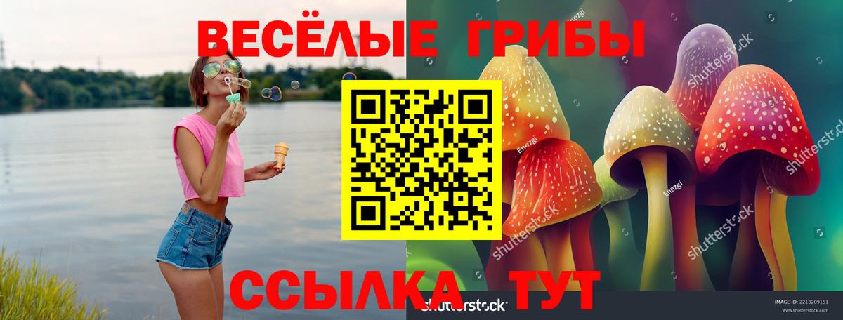 Ефремов  Галлюциногенные грибы GOLDEN TEACHER  Псилоцибиновые грибы Psilocybe  Вход с VPN 